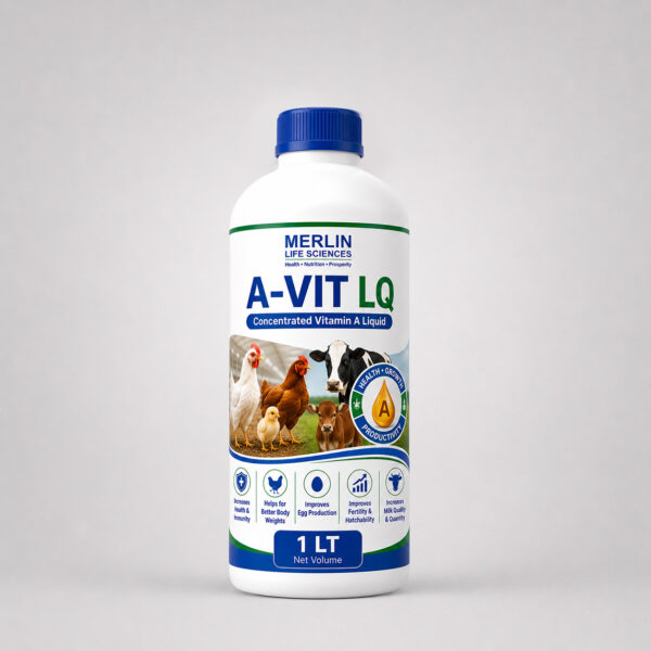 A-VIT LQ