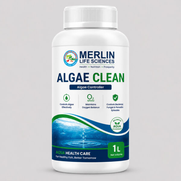 ALGAE CLEAN