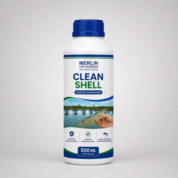 CLEAN SHELL