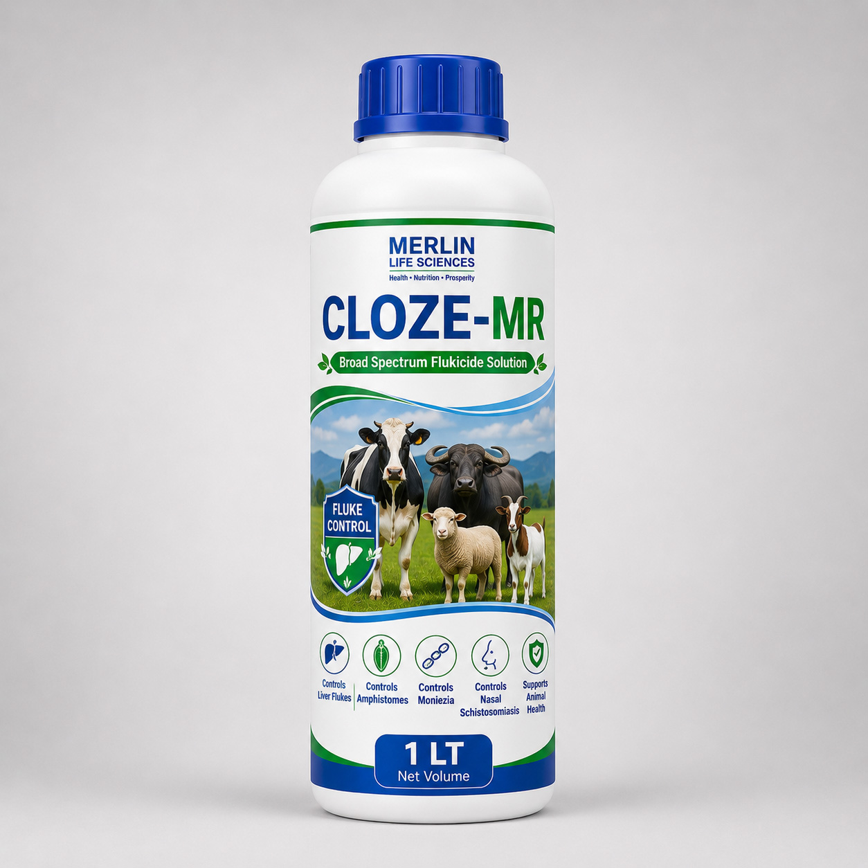 CLOZE-MR