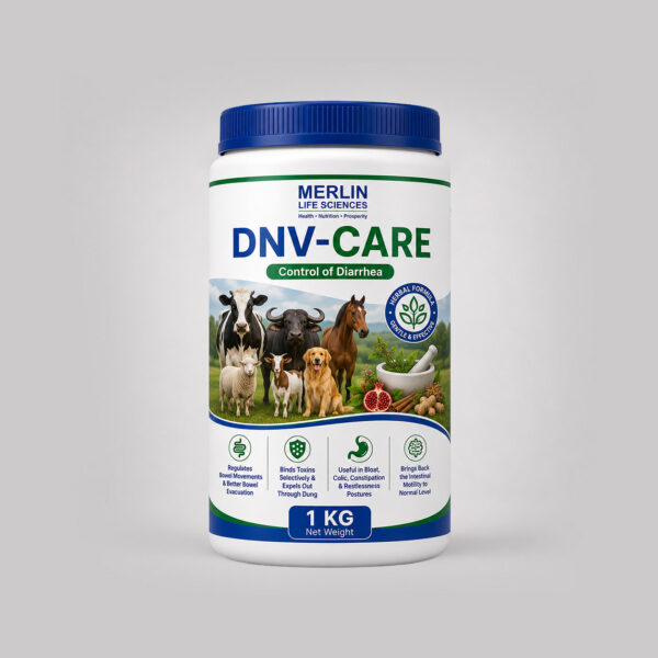 DNV-CARE