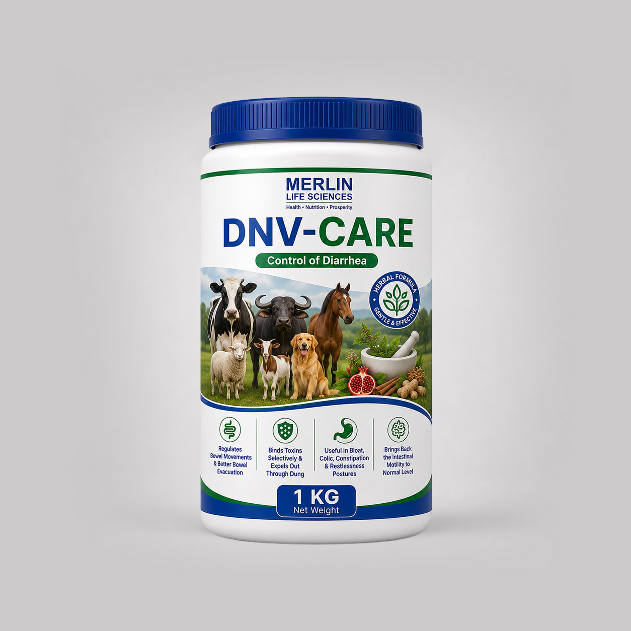 DNV-CARE