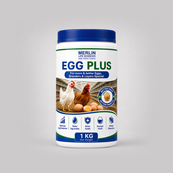 EGG PLUS