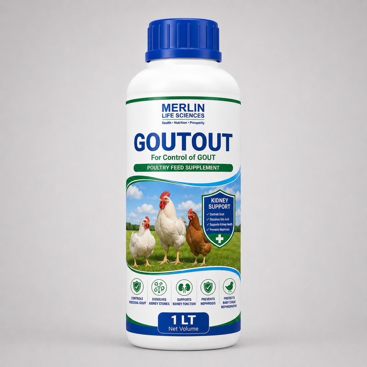 GOUTOUT