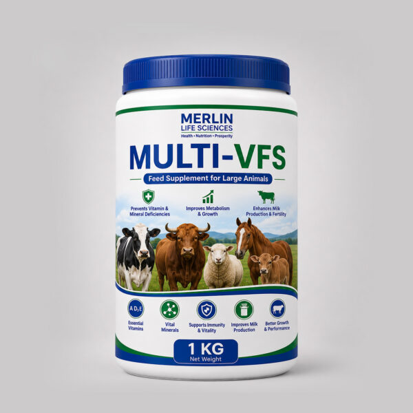 MULTI-VFS