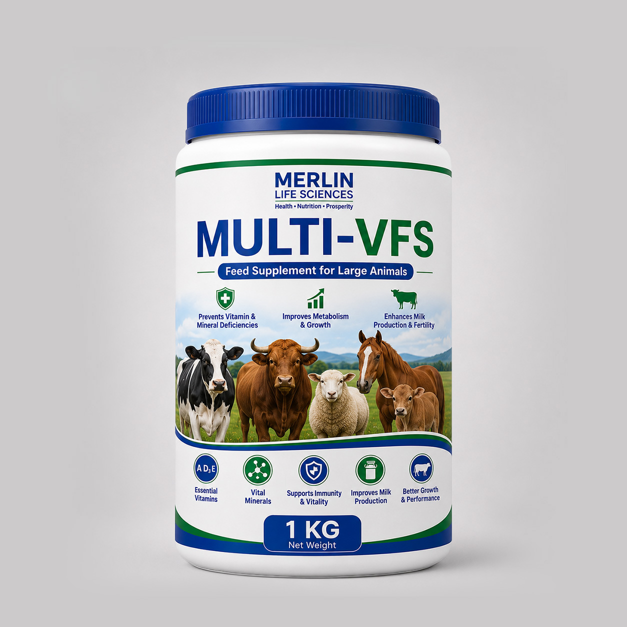 MULTI-VFS