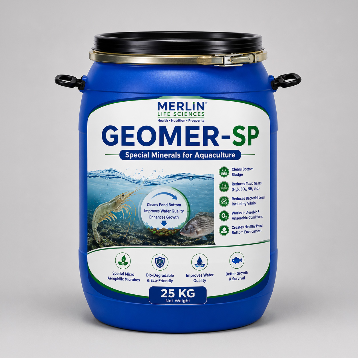 GEOMER-SP