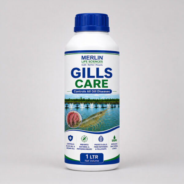GILLS CARE